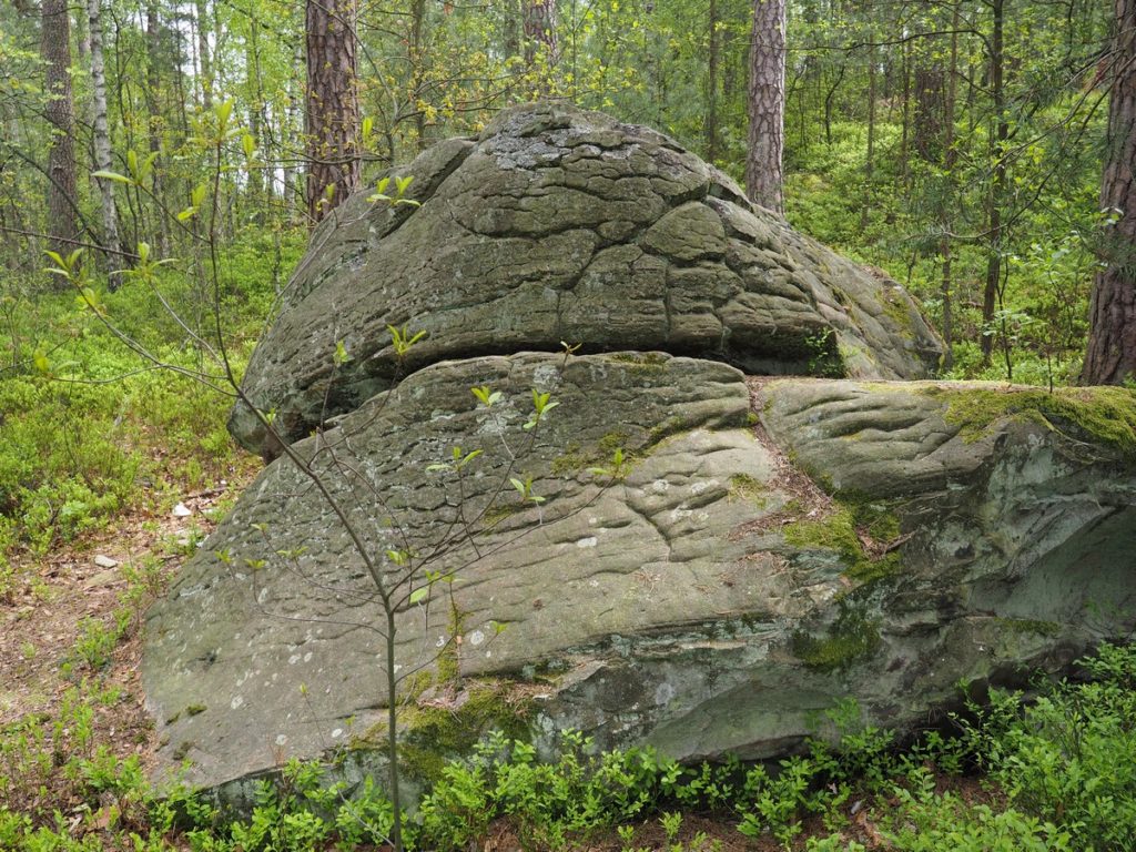 Ska Ki Piek O Obok Nieba Pomnik Przyrody W Rodku Lasu