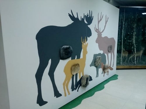 centrum edukacji leśnej