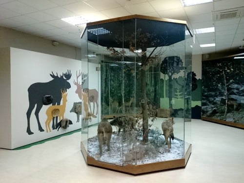 centrum edukacji leśnej