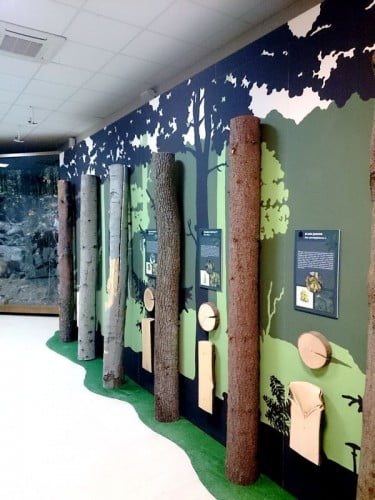 centrum edukacji leśnej