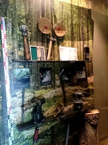 centrum edukacji leśnej