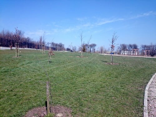 Ogród botaniczny Kielce