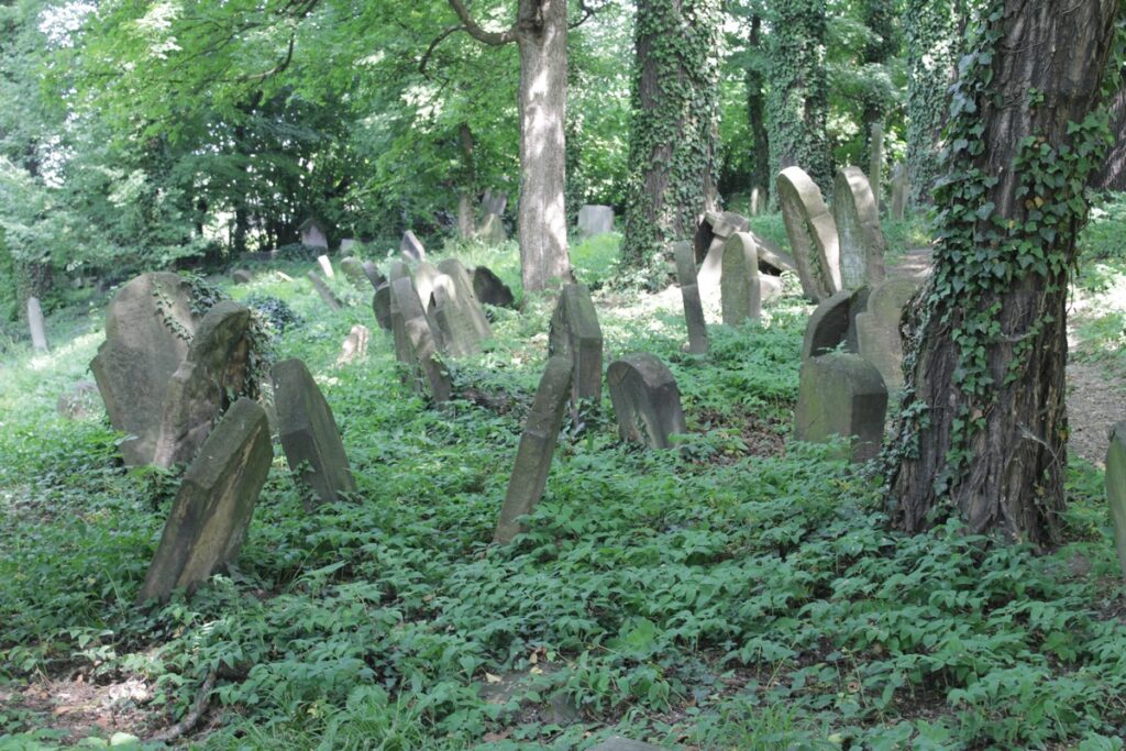 Cmentarz żydowski w Cieszynie