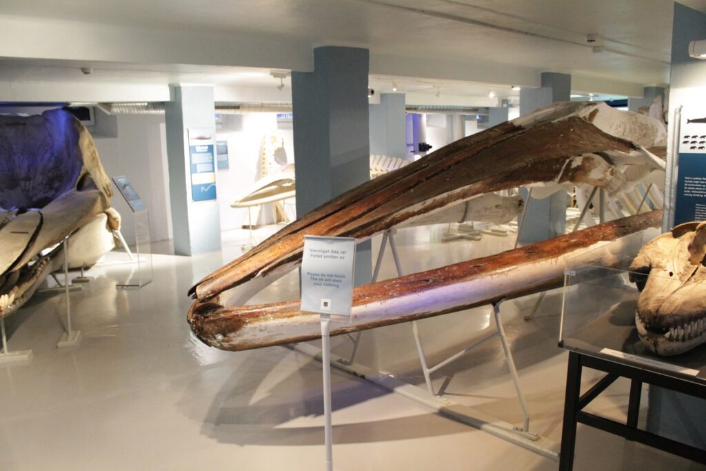 Muzeum Wielorybnictwa Sandefjord