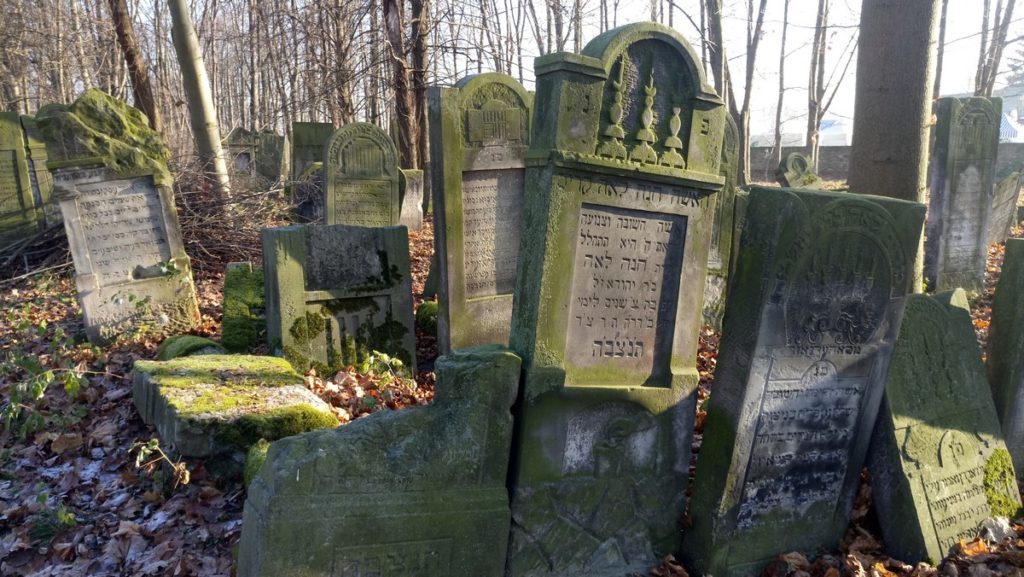 Cmentarz Żydowski w Szydłowcu 