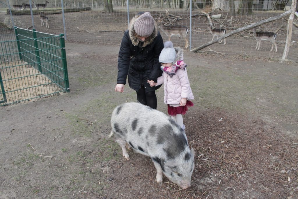 Wildpark Frankfurt