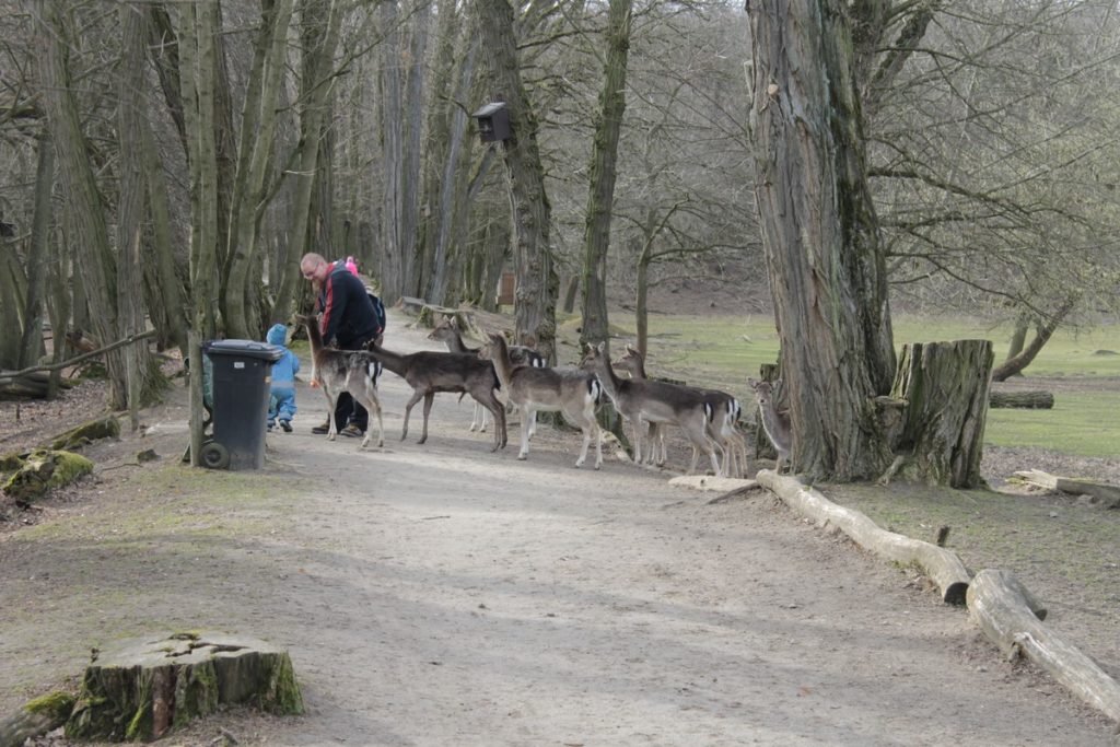 Wildpark Frankfurt