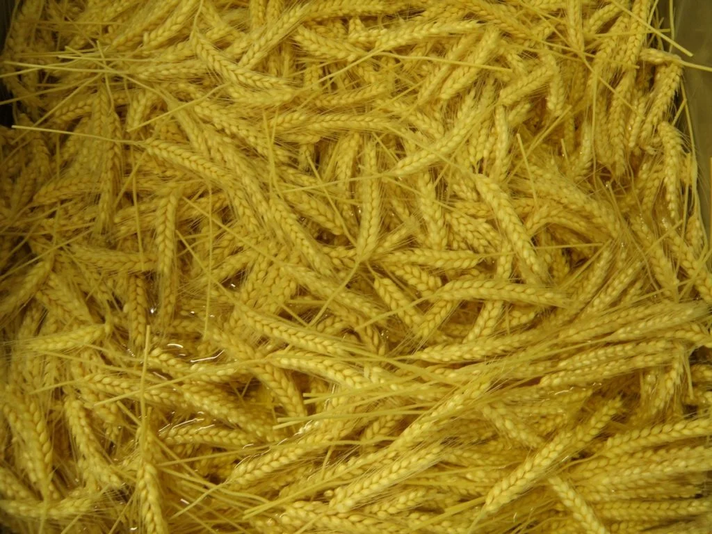 Muzeum Stumbras