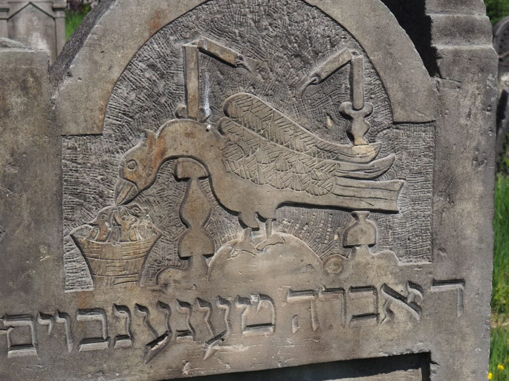 Cmentarz żydowski w Starachowicach