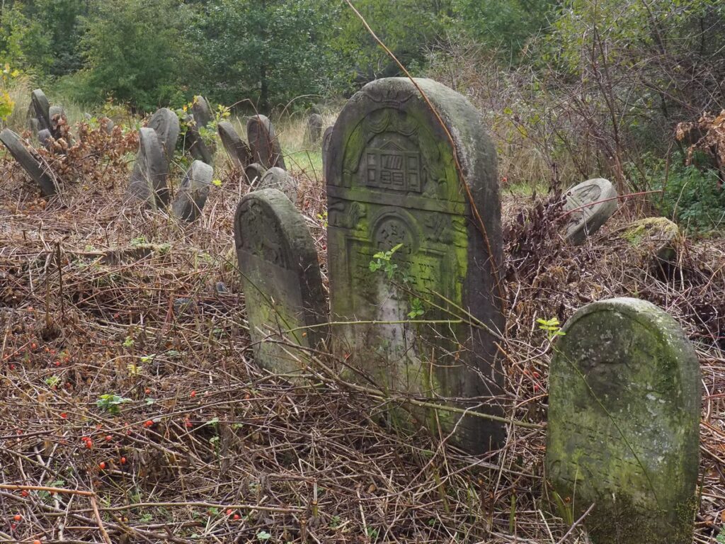 cmentarz żydowski w Radomsku