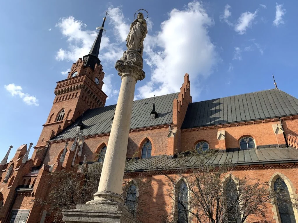 Tarnów - katedra