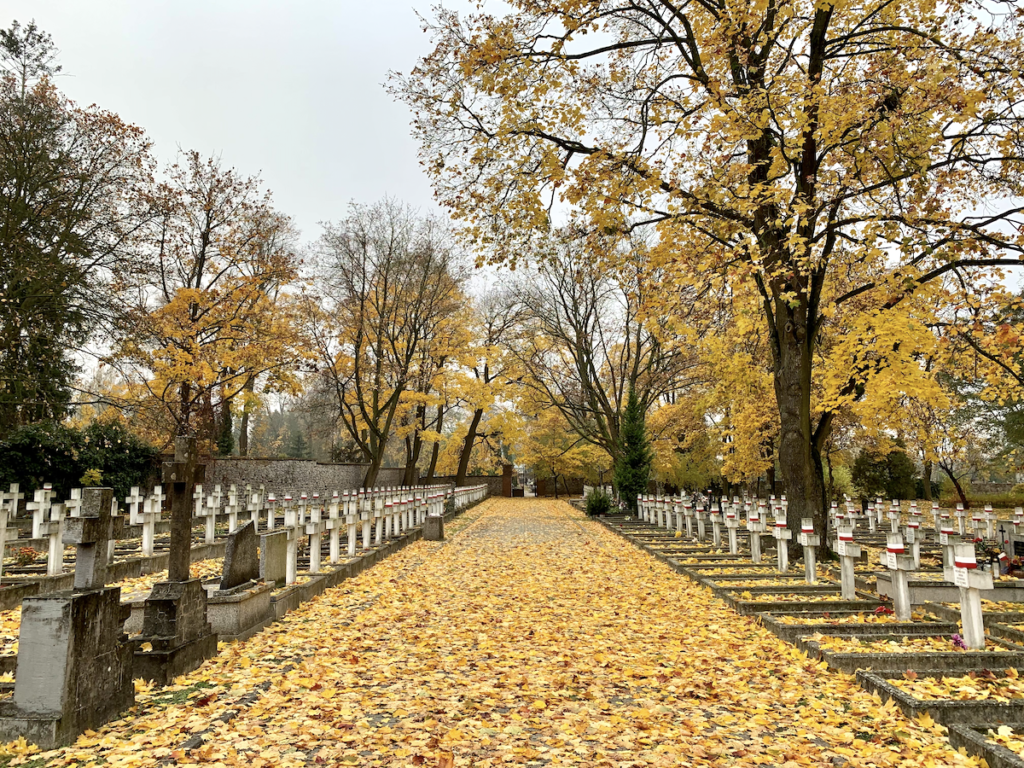 cmentarz stary w Kielcach