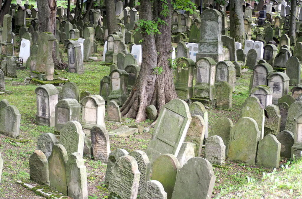 cmentarz żydowski w Tarnowie