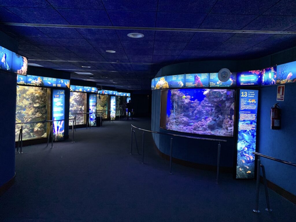 Muzeum Historii Naturalnej w Berlinie