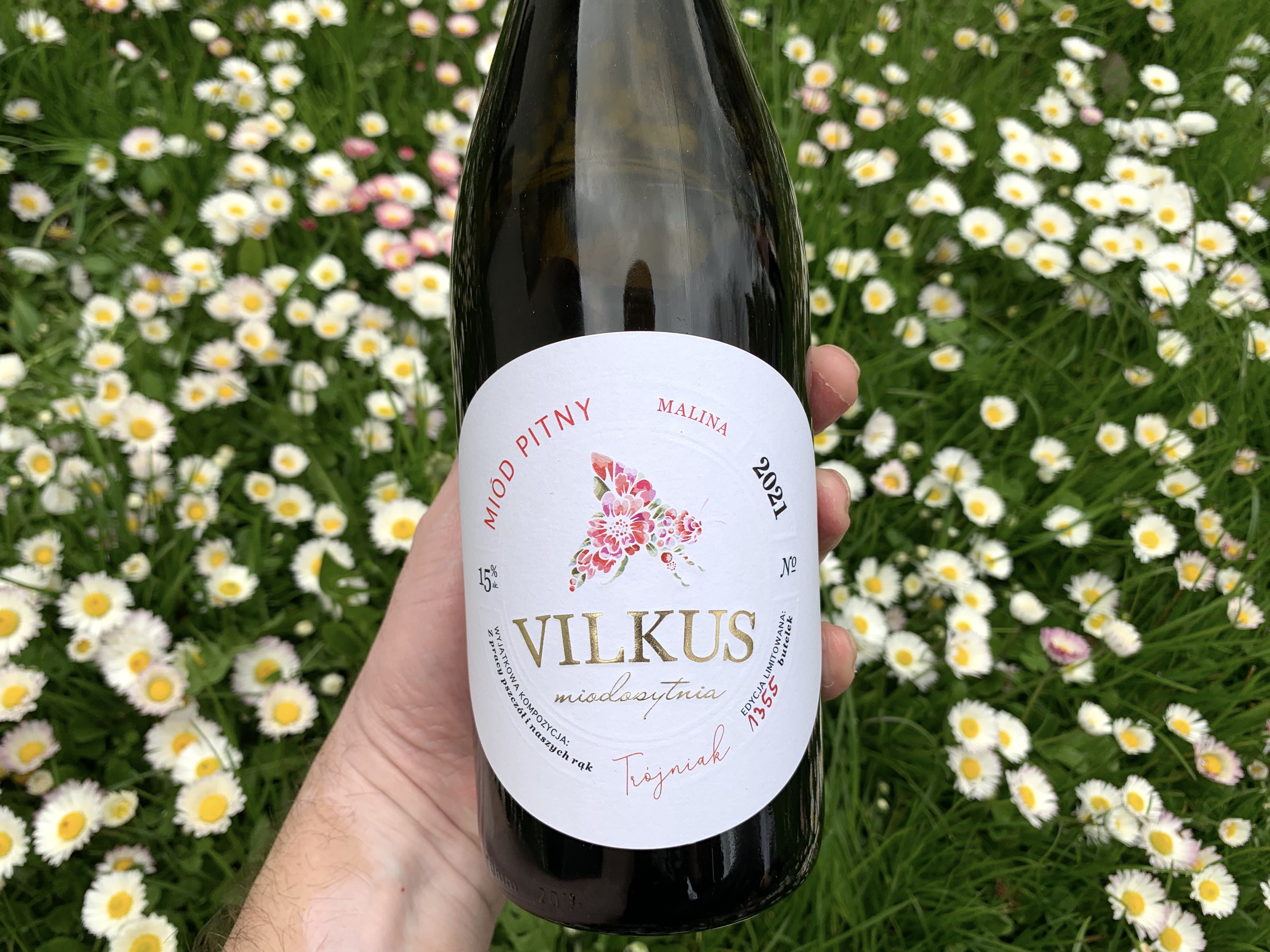 Miodosytnia Vilkus – świętokrzyskie miody pitne