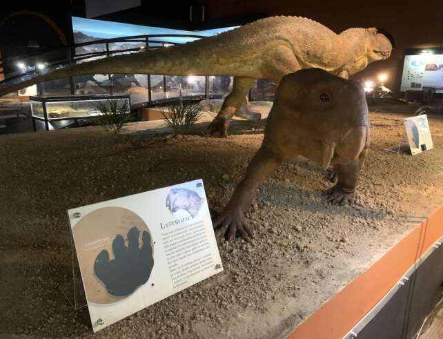 Muzeum Przyrody i Techniki w Starachowicach - dinozaury