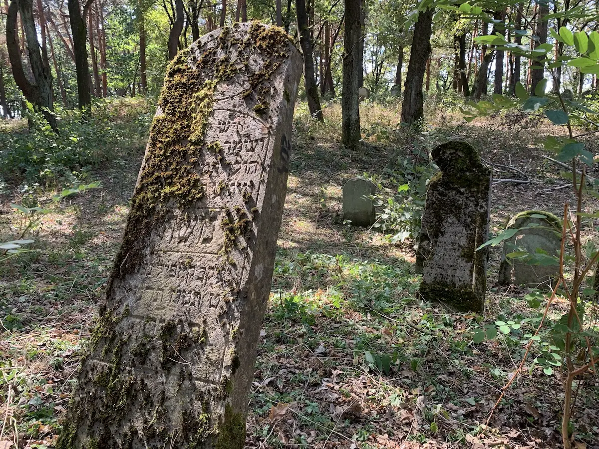 Cmentarz żydowski w Kolbuszowej