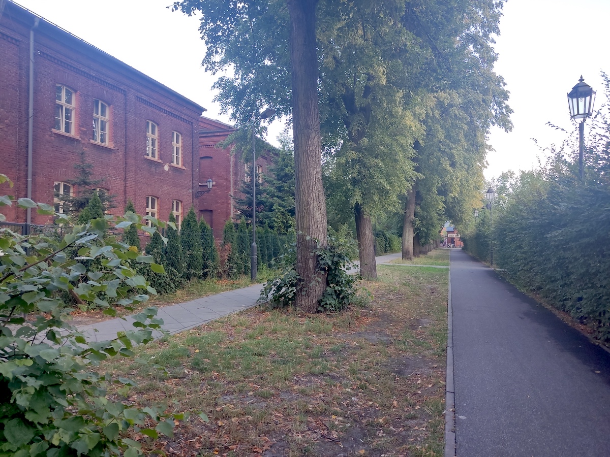 Koci Szlak w centrum Łodzi