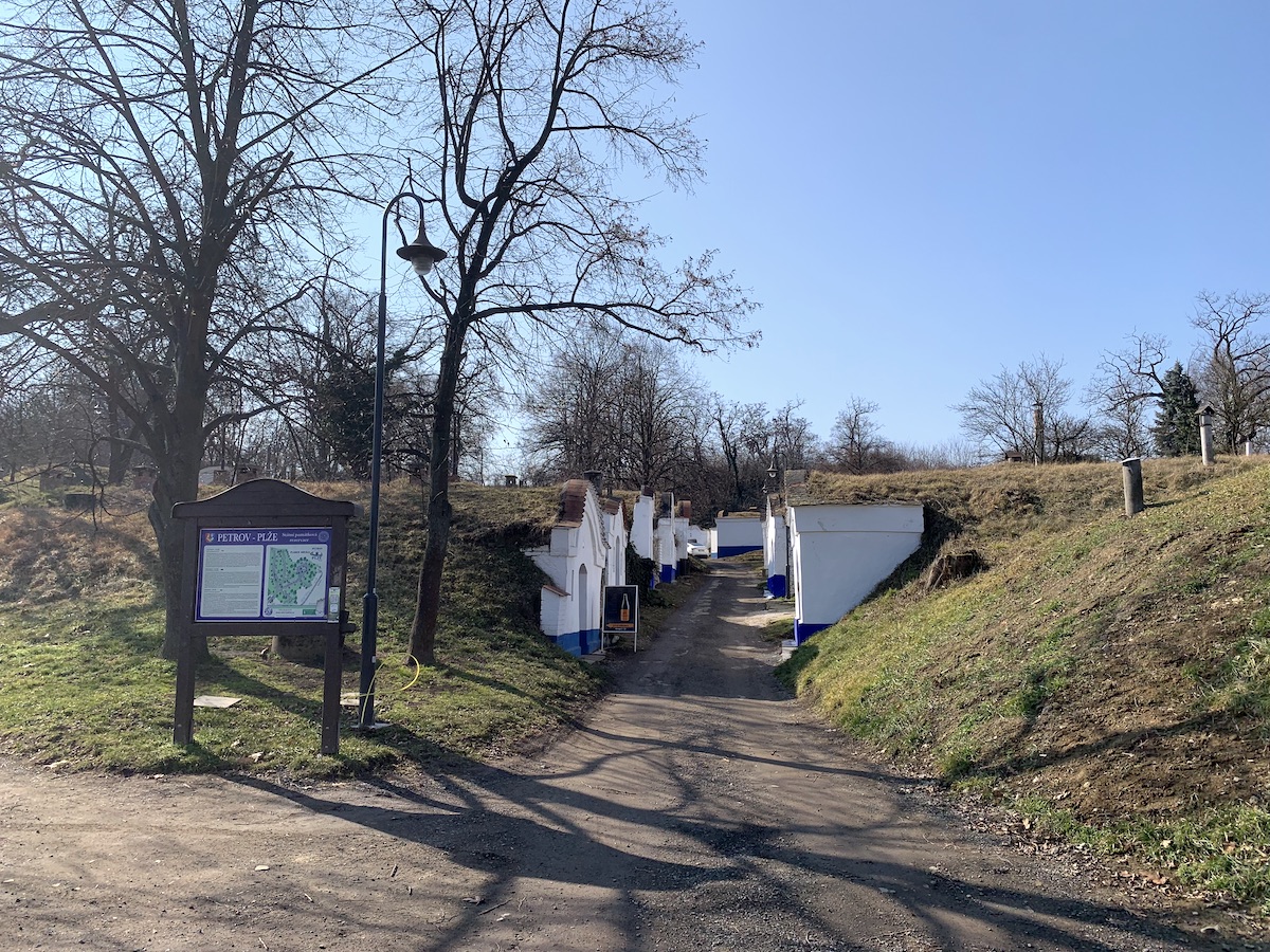 Winne piwniczki Plže  – wyjątkowa atrakcja w Petrovie