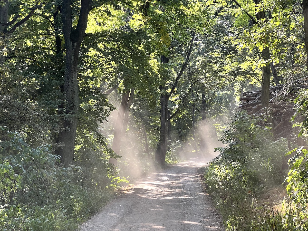Katarinka – ruiny klasztoru i kościoła Franciszkanów