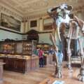 The Natural History Museum in Vienna – a fascinating journey through millions of years of evolution