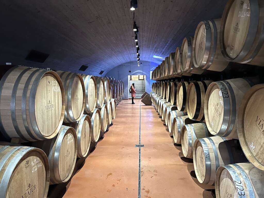 Dni otwartych piwnic - Małokarpacki Szlak Winny 2025