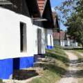 Vlčnov – niezwykłe piwnice winiarskie w sercu Wschodnich Moraw